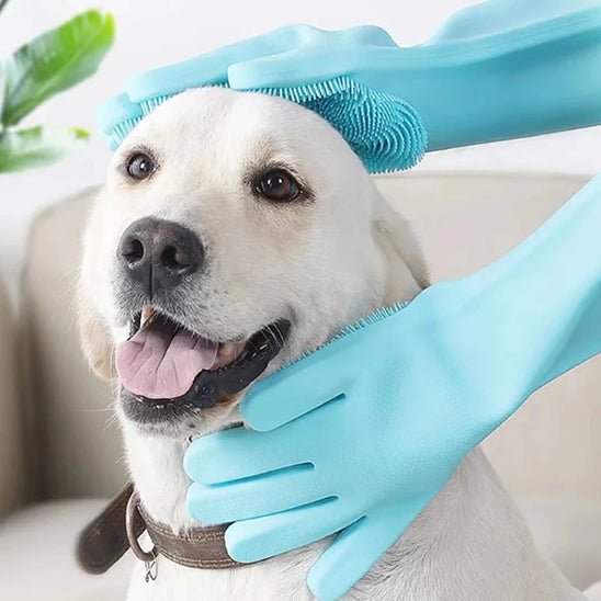 Gant de Toilettage - MondôChien