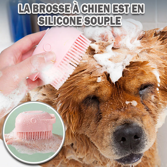 Brosse de Bain | DogBrush
