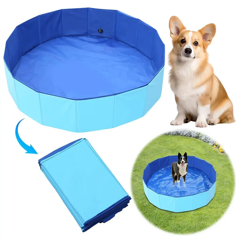 Piscine pour Chien - MondôChien