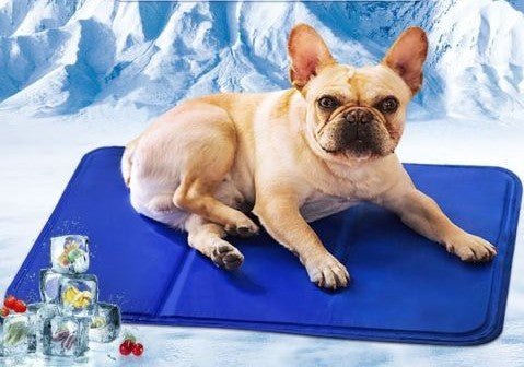 Tapis Rafraichissant pour Chien | ZenFrais - MondôChien