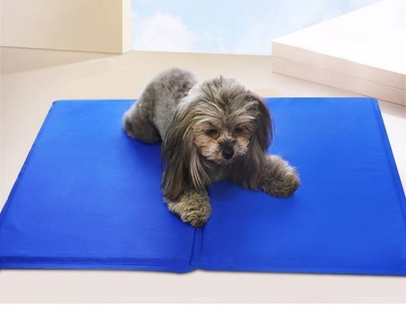 Tapis Rafraichissant pour Chien | ZenFrais - MondôChien