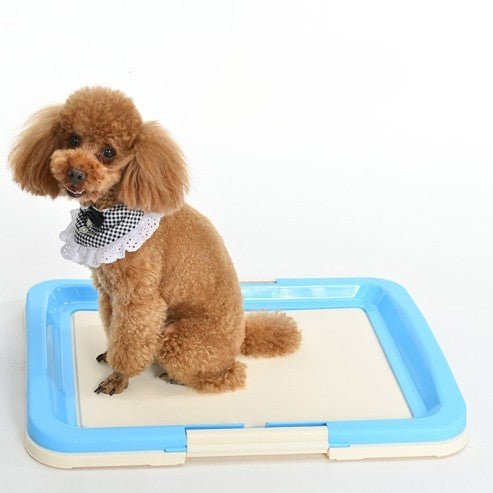 Toilette pour chiots - MondôChien