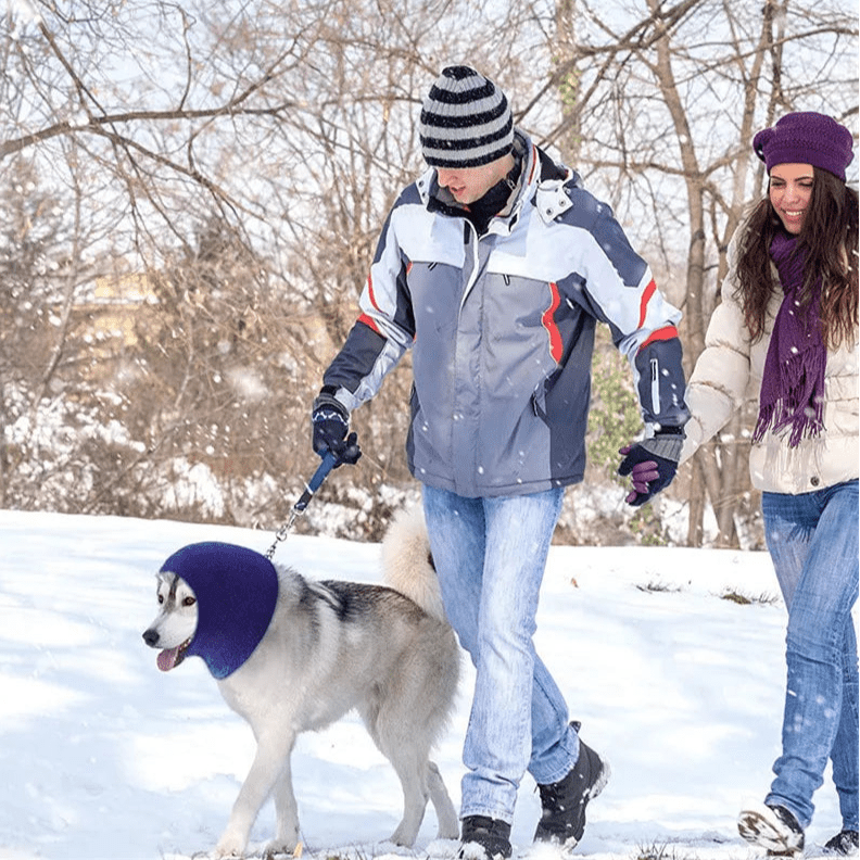 Cache - oreilles pour Chien - Doux et Chaud - MondôChien