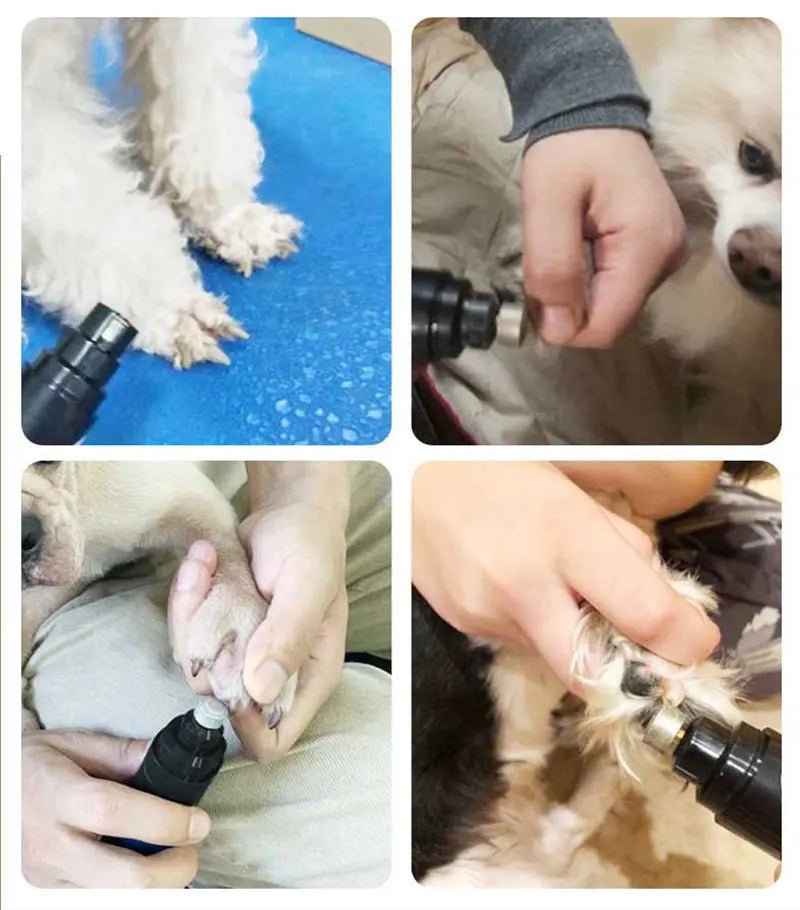 Lime à Ongles pour Chien - Electrique sans fil - MondôChien