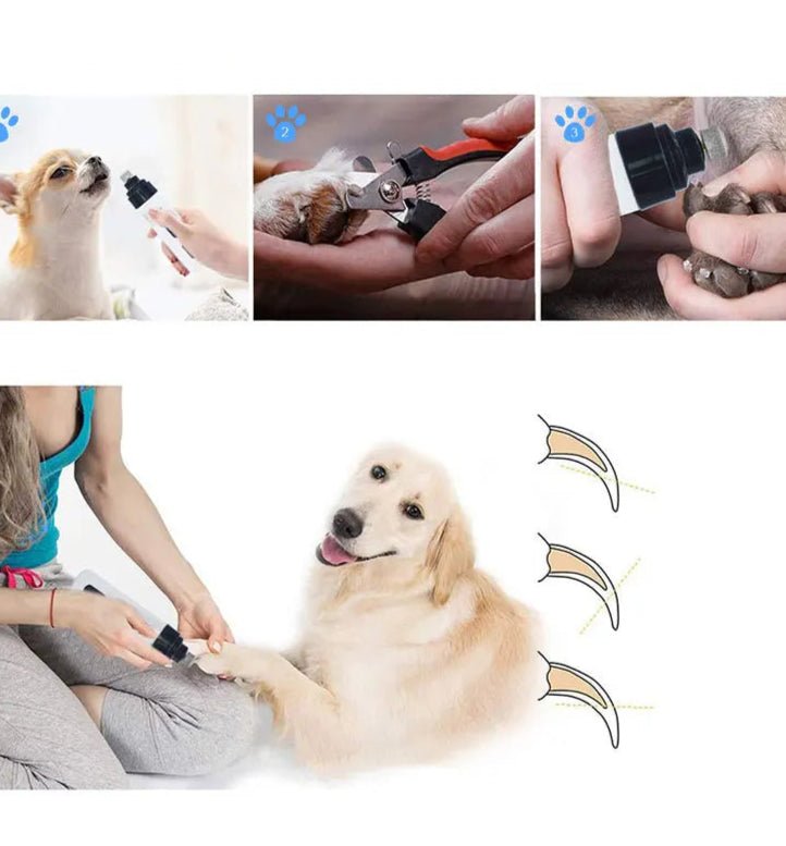 Lime à Ongles pour Chien - Electrique sans fil - MondôChien