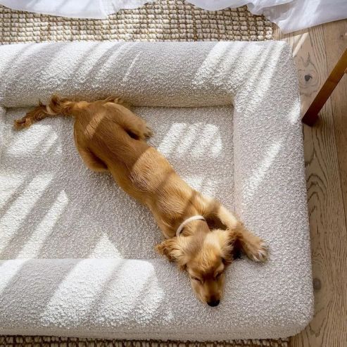 Nid Rectangulaire confortable pour Chien - MondôChien