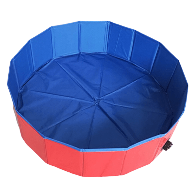 Piscine pour Chien - MondôChien