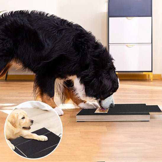 Planche à Gratter - MondôChien