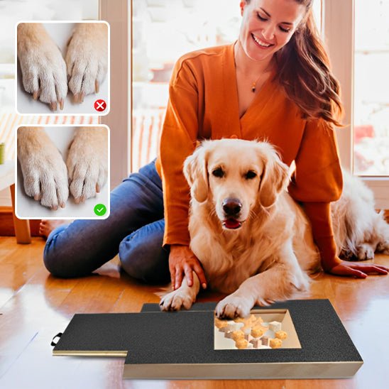 Planche à Gratter - MondôChien