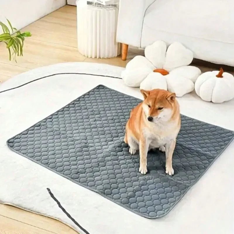 Tapis de Propreté Lavable pour Chien - MondôChien