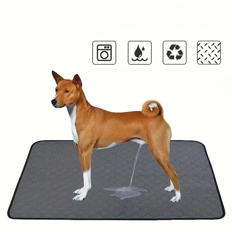 Tapis de Propreté Lavable pour Chien - MondôChien