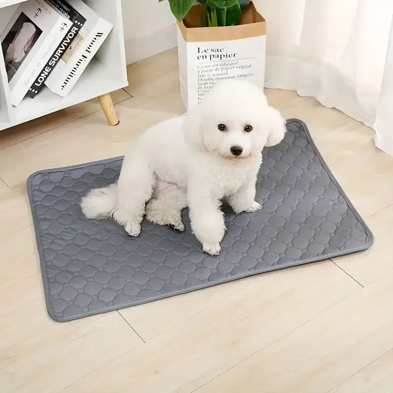 Tapis de Propreté Lavable pour Chien - MondôChien