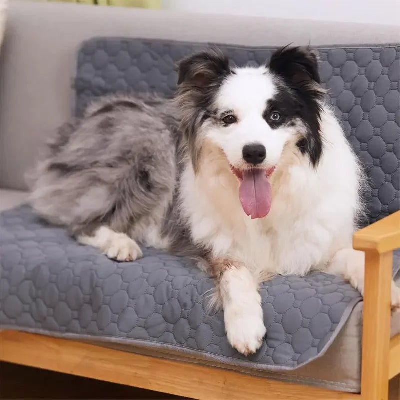 Tapis de Propreté Lavable pour Chien - MondôChien