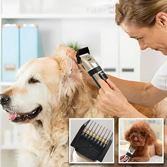 Tondeuse Professionnelle pour Chien - MondôChien