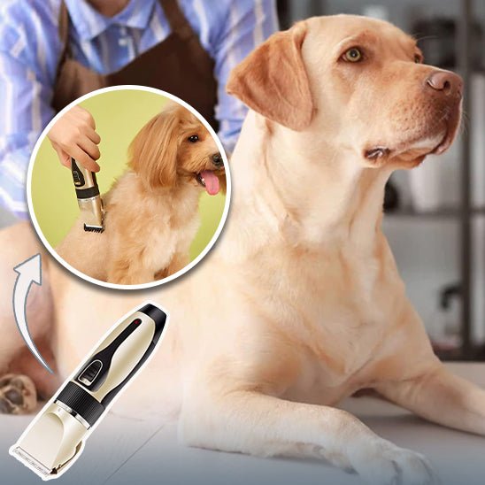 Tondeuse Professionnelle pour Chien - MondôChien